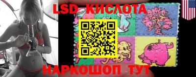 гашик Новодвинск