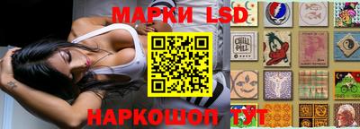 гашик Новодвинск