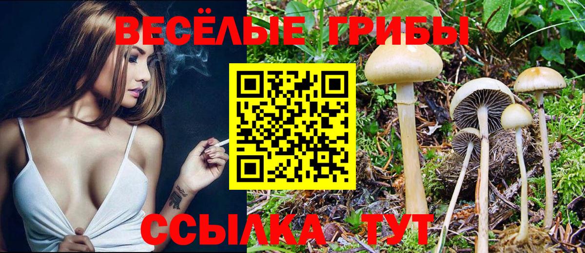 Псилоцибиновые грибы MAGIC MUSHROOMS Трёхгорный