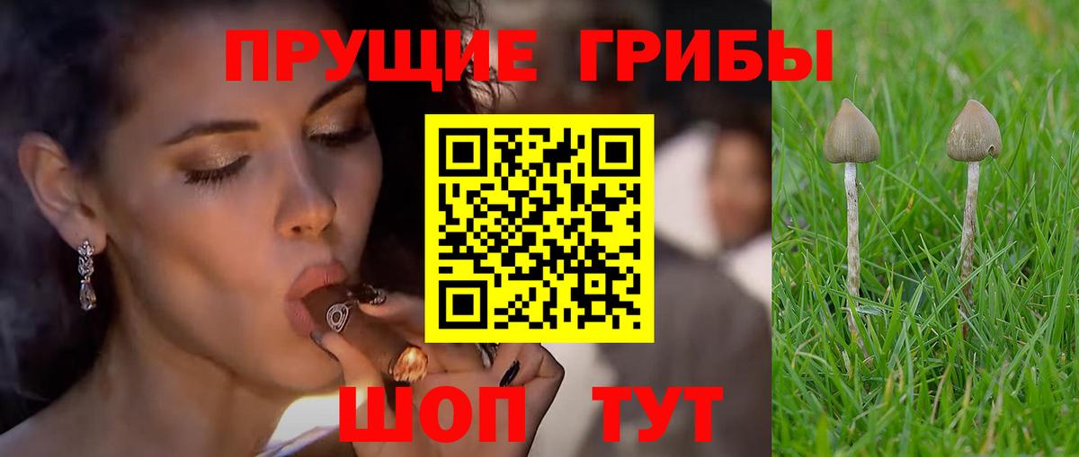 Лсд 25 Трёхгорный